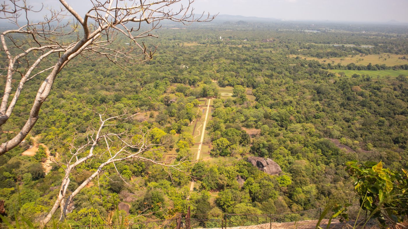View from the summit of the gardens