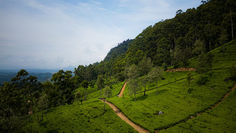 Pekoe Trail - Sri Lanka