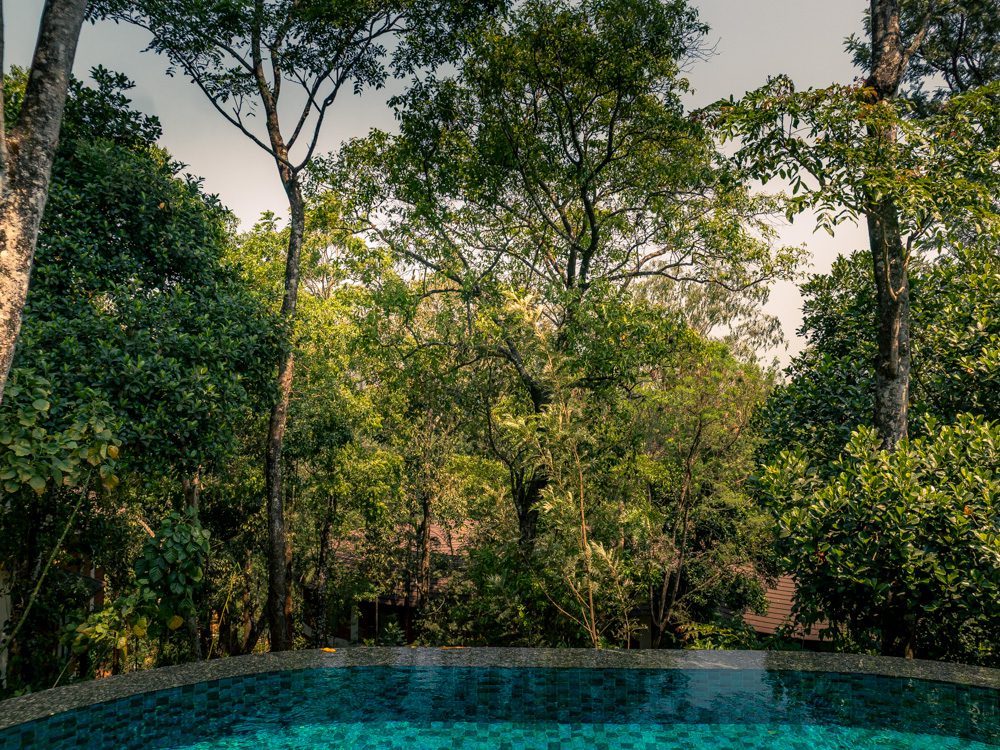 infinity pool at the Mistwood Villa
