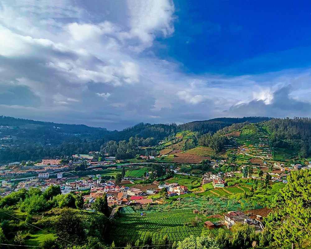 scenic view of Ooty with terraced fields