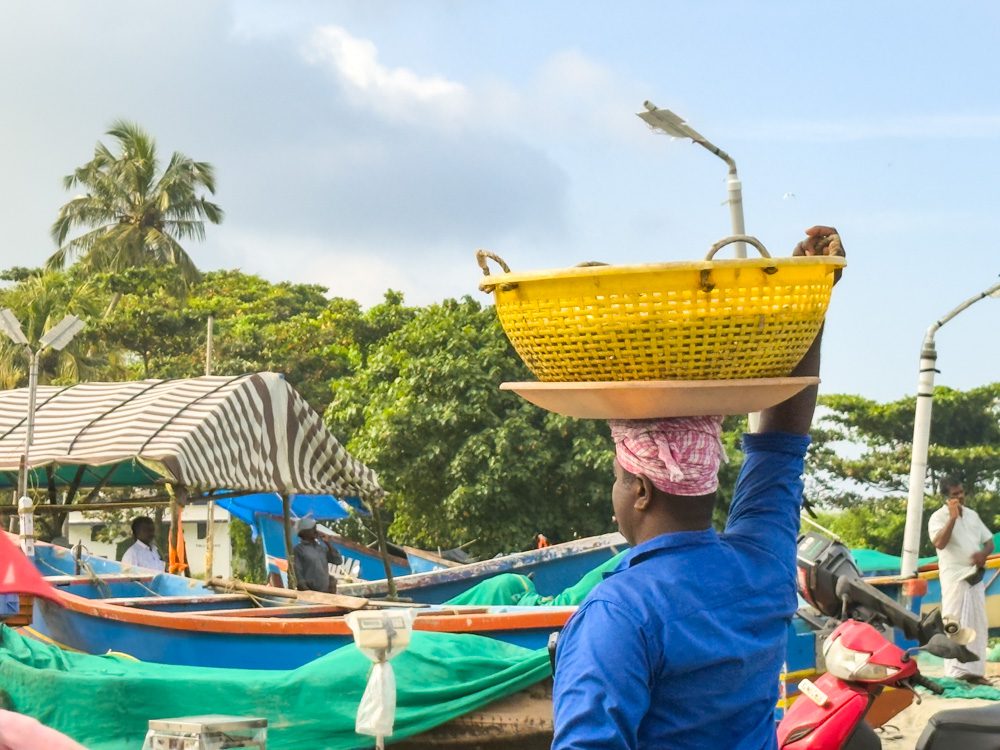 A yellow basket of fish on its way to be sold being carried on the head of a man
