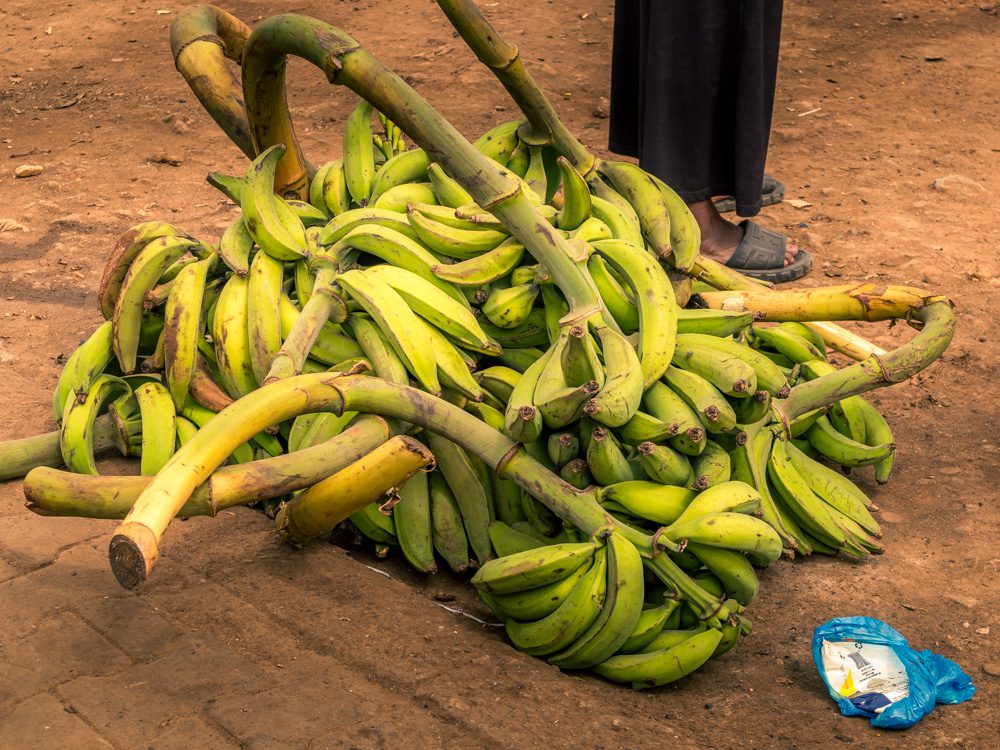 pile of green plantain
